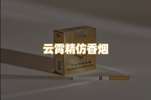 云霄精仿香烟